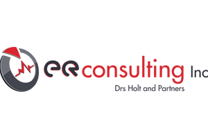 ER Consulting Inc